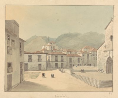 Funchal, Madeira: náměstí s kostelem od Samuel Davis