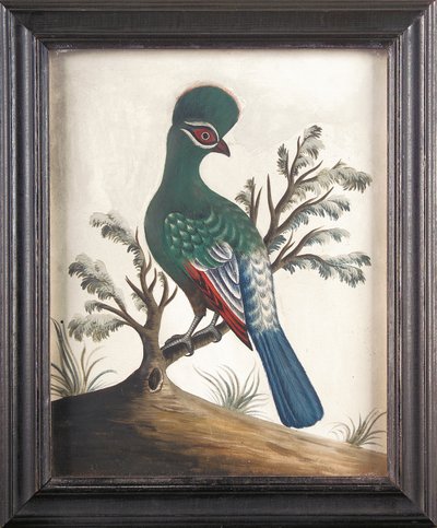 Touraco, cca 1750 od Samuel Dixon