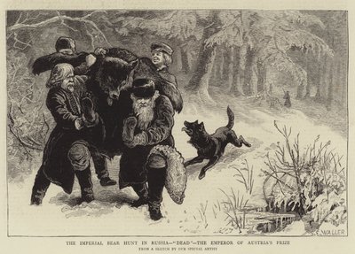 Lov císařského medvěda v Rusku, Mrtvý, Cena rakouského císaře od Samuel Edmund Waller