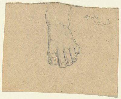 Studie k Soudu Jupitera (Apollo, levá noha) od Samuel Finley Breese Morse