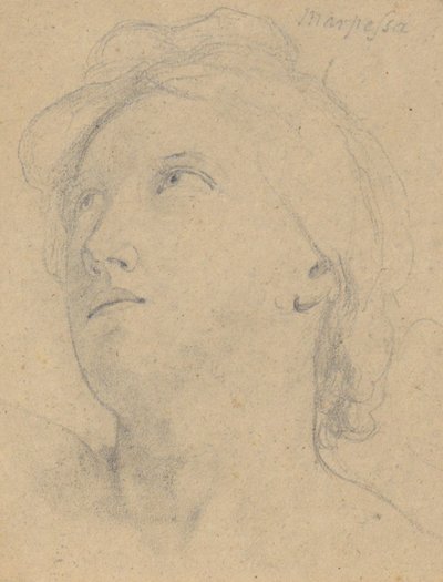Studie k Soudu Jupitera (Marpessa, hlava) od Samuel Finley Breese Morse