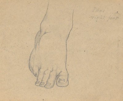 Studie k soudu Jupiter (Idas, pravá noha) od Samuel Finley Breese Morse