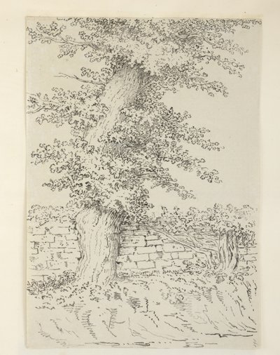 Přidat. MS 15546 Am Elm Tree v Bedminsteru od Samuel Hieronymous Grimm