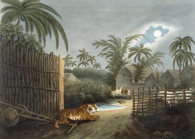 Tygr procházející vesnicí (dobytek v hrůze), z knihy "Orientální polní sporty" od Thomase Williamsona, 1808. od Samuel Howett