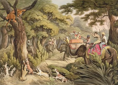 Shooting A Leopard, z Oriental Field Sports, pub. Edward Orme, 1807 (tisk) od Samuel Howett