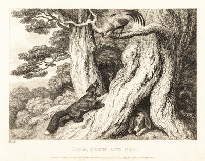 Kohout na stromě přelstí lišku, zatímco pes spí. 1811 (lept) od Samuel Howitt