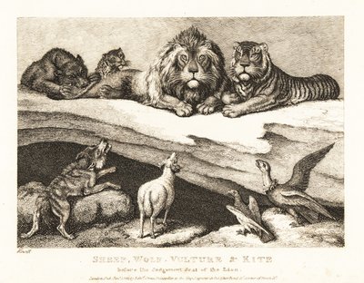 Soudní případ mezi zvířaty se lvem a tygrem jako soudci. 1811 (lept) od Samuel Howitt