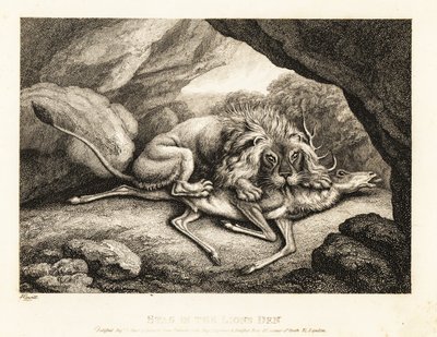 Lev pojídá mršinu jelena v jeskyni. 1811 (lept) od Samuel Howitt