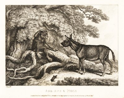 Opice a osel naříkají, dokud je krtek neumlčí. 1811 (lept) od Samuel Howitt
