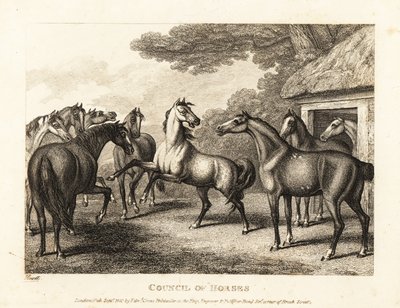 Mladé hříbě se snaží vyvolat vzpouru ve stájích. 1811 (lept) od Samuel Howitt