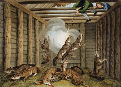 American Anecdote: Shooting the Wolves, vyryl Matthew Dubourg (fl. 1785-1820) a umělec, vydal Edward Orme, 1813 od Samuel Howitt