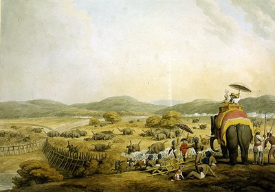 Zahnání slonů do Džiddy (akvarel na papíře) od Samuel Howitt