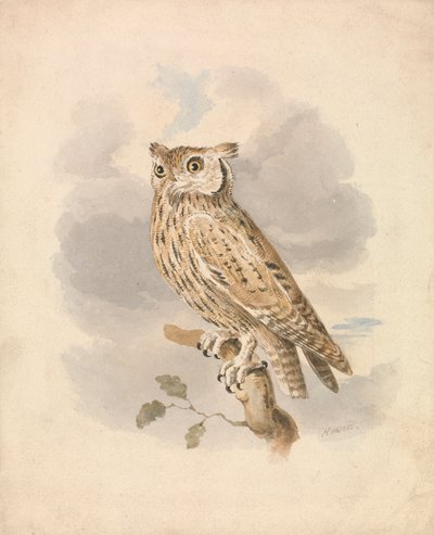 Scops sova od Samuel Howitt