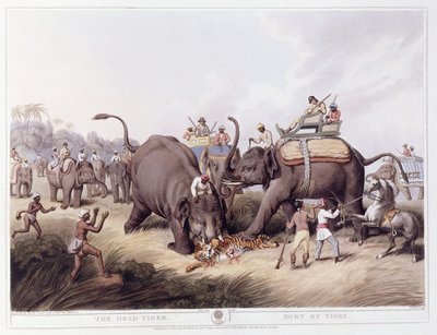 Mrtvý tygr; Smrt tygra, 1807 od Samuel Howitt
