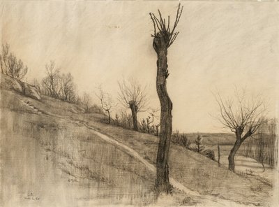 Pozdní zimní krajina, 1884 (uhlí na leštěném papíře) od Samuel Isham