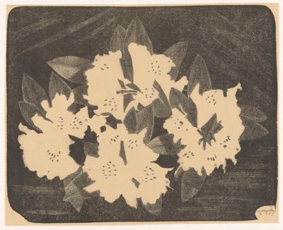 Rhododendron od Samuel Jessurun de Mesquita (signed by artist)