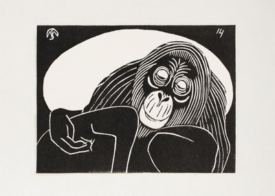 Orangutan od Samuel Jessurun de Mesquita
