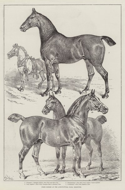 Prize Horses v Agricultural Hall, Islington od Samuel John Carter