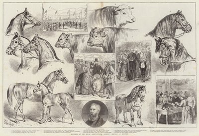 Náčrtky na setkání Královské zemědělské společnosti v Norwichi od Samuel John Carter