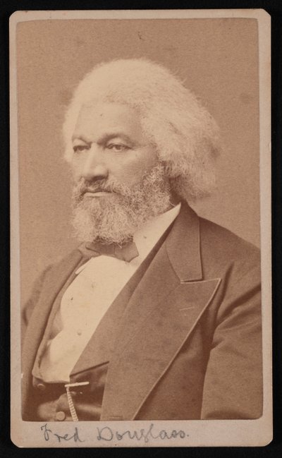 Portrét Fredericka Douglasse 1817-1895, 1878. od Samuel Montague Fassett