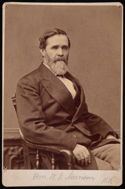 Portrét Hon. W.F. Morrison, mezi 1876 a 1880. od Samuel Montague Fassett