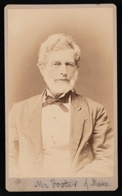 Portrét pana Fostera z Massachusetts, mezi 1876 a 1880. od Samuel Montague Fassett