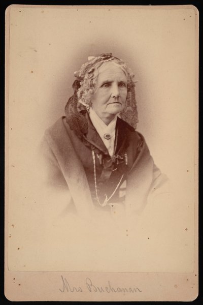 Portrét paní Buchananové, 1875. od Samuel Montague Fassett