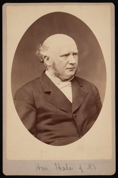 Portrét Roberta Safforda Halea 1822-1881, před rokem 1881. od Samuel Montague Fassett