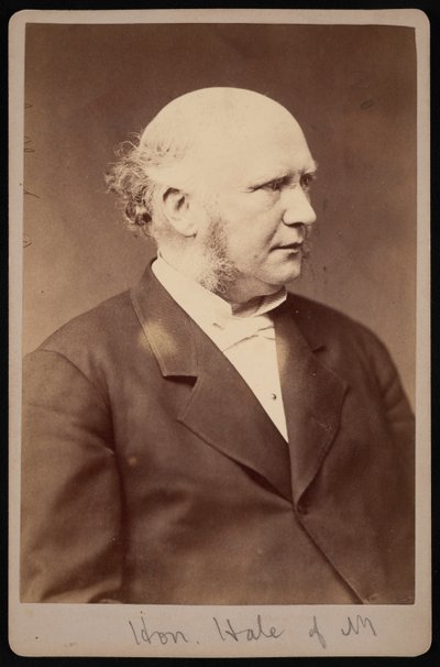Portrét Roberta Safforda Halea 1822-1881, před rokem 1881. od Samuel Montague Fassett