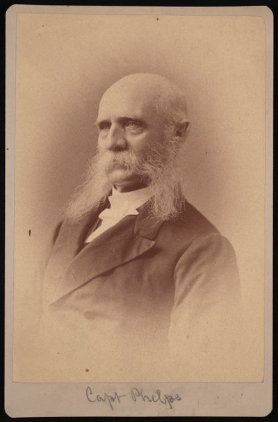 Portrét Setha Ledyarda Phelpse 1824-1885, 1878. od Samuel Montague Fassett