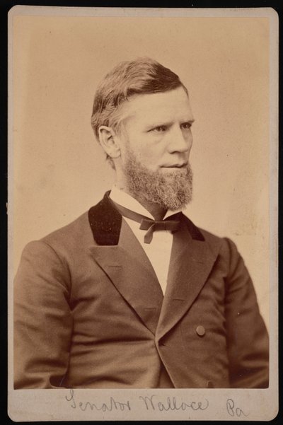 Portrét Williama Andrewa Wallace 1827-1896, mezi 1876 a 1880. od Samuel Montague Fassett