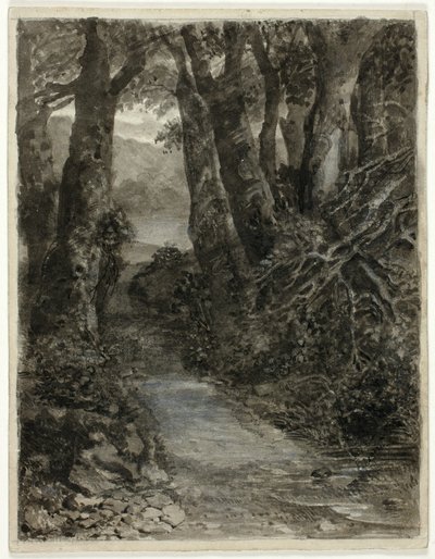 Studie lesa od Samuel Palmer