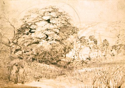 Cesta přes kukuřičné pole, cca 1832-33 (akvarel na papíře) od Samuel Palmer