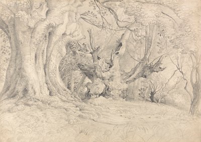Starověké stromy, Lullingstone Park od Samuel Palmer