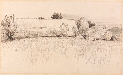 Kukuřičná pole se Stodolou, Shoreham od Samuel Palmer