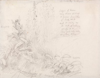 Náprstníky od Samuel Palmer