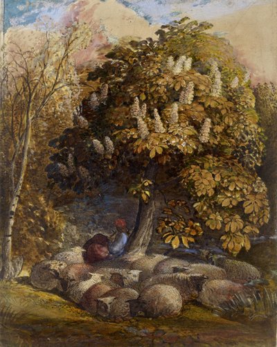Pastýř s jírovcem, kolem 1830-31 (akvarel a tělová barva) od Samuel Palmer