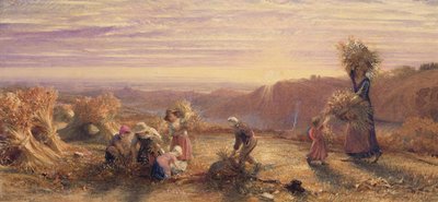 Západ slunce nad Gleaning Fields od Samuel Palmer