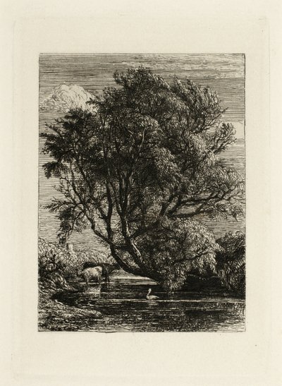 Vrba od Samuel Palmer