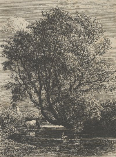 Vrba, 1850. od Samuel Palmer