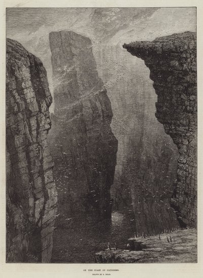 Na pobřeží Caithness od Samuel Read