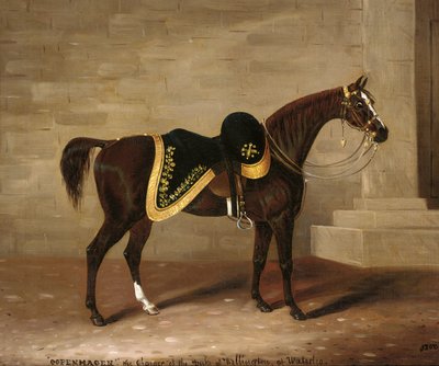 Kodaň, nabíječ vévody z Wellingtonu ve Waterloo od Samuel Spode