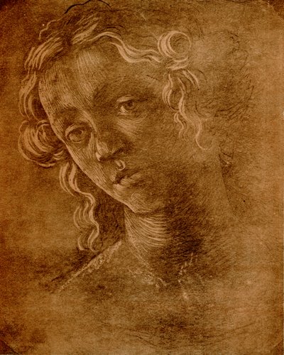 Ženská hlava od Sandro Botticelli