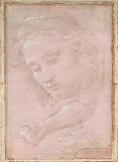 Hlava mládeže v čepici; pravé předloktí s rukou svírající kámen; a levá ruka držící závěs od Sandro Botticelli