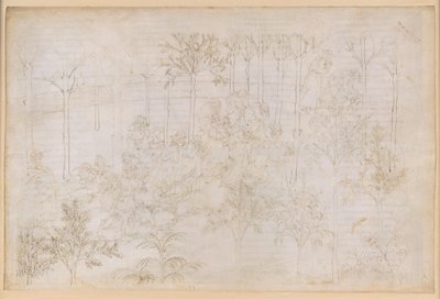 La Divina Commedia, Purgatorio XXXIII. Pozemský ráj: Beatrice v kruhu ctností; Odchod; Dante se koupe v řece Eunoe od Sandro Botticelli