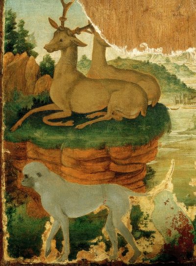 Krajina se srnci a opicemi od Sandro Botticelli