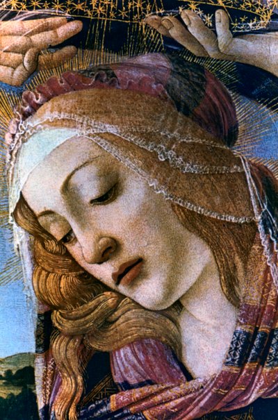 Detail Madony z Magnificat, 1482 od Sandro Botticelli