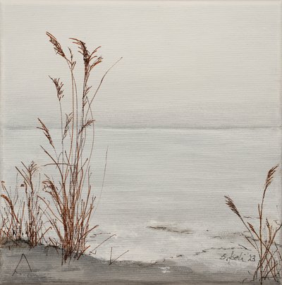  od Sandy Iseli