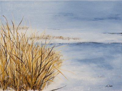  od Sandy Iseli