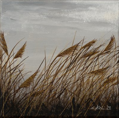  od Sandy Iseli